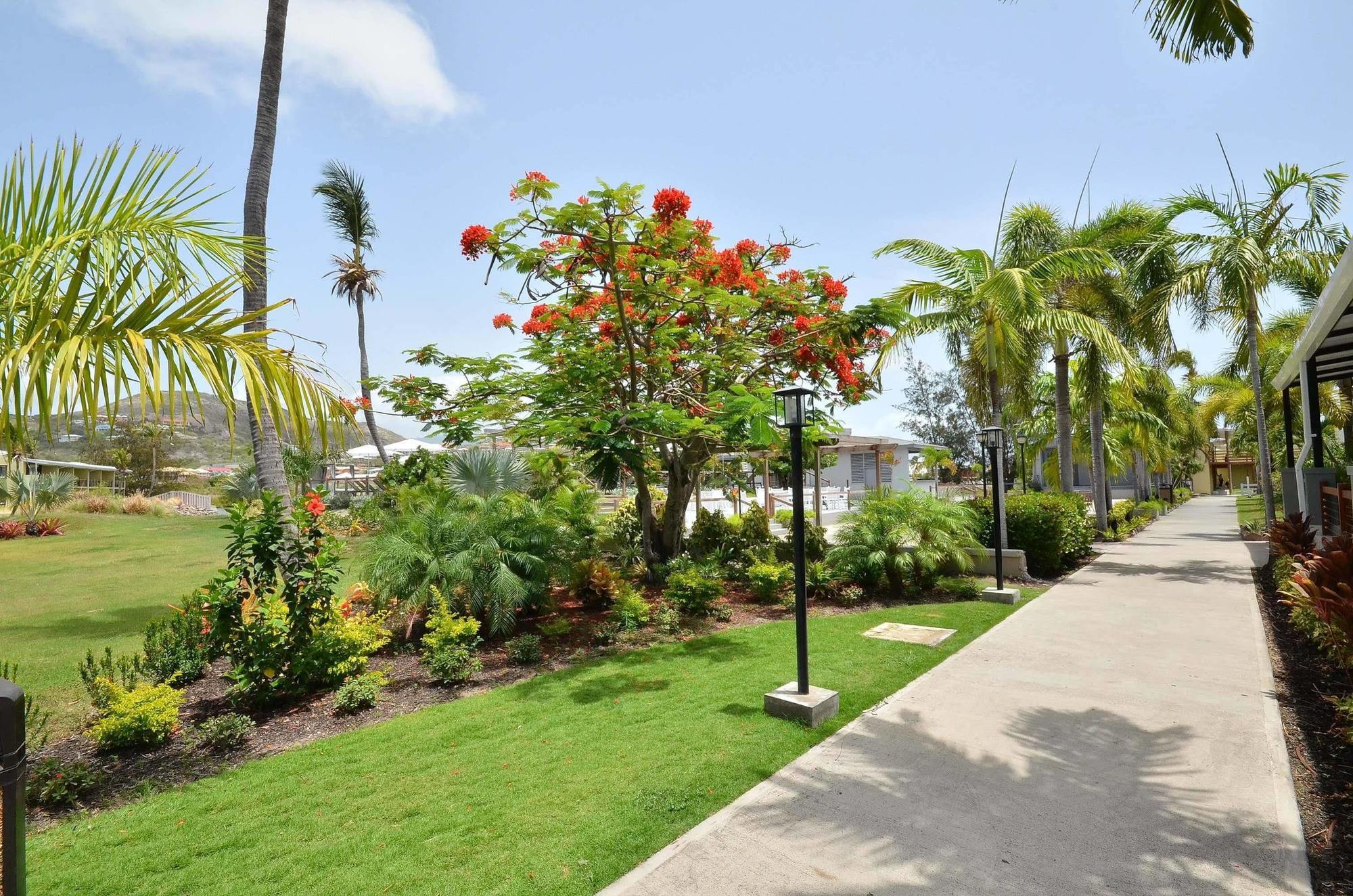 Royal St. Kitts Hotel Frigate Bay Exterior photo